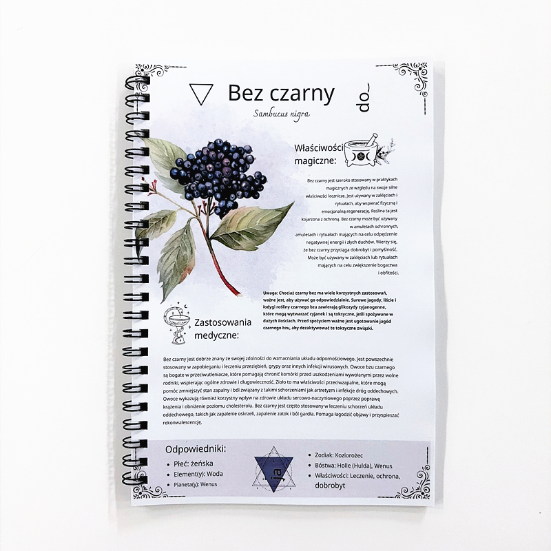 The Lost Book of Herbal Remedi - đánh giá và giá Natural Herbal Wellness